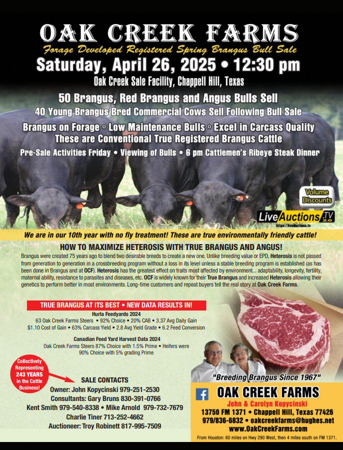 OCF Forage Developed Registered Bull Sale - Red Brangus Bulls, Brangus Bulls, Red Angus Bulls, Angus Bulls